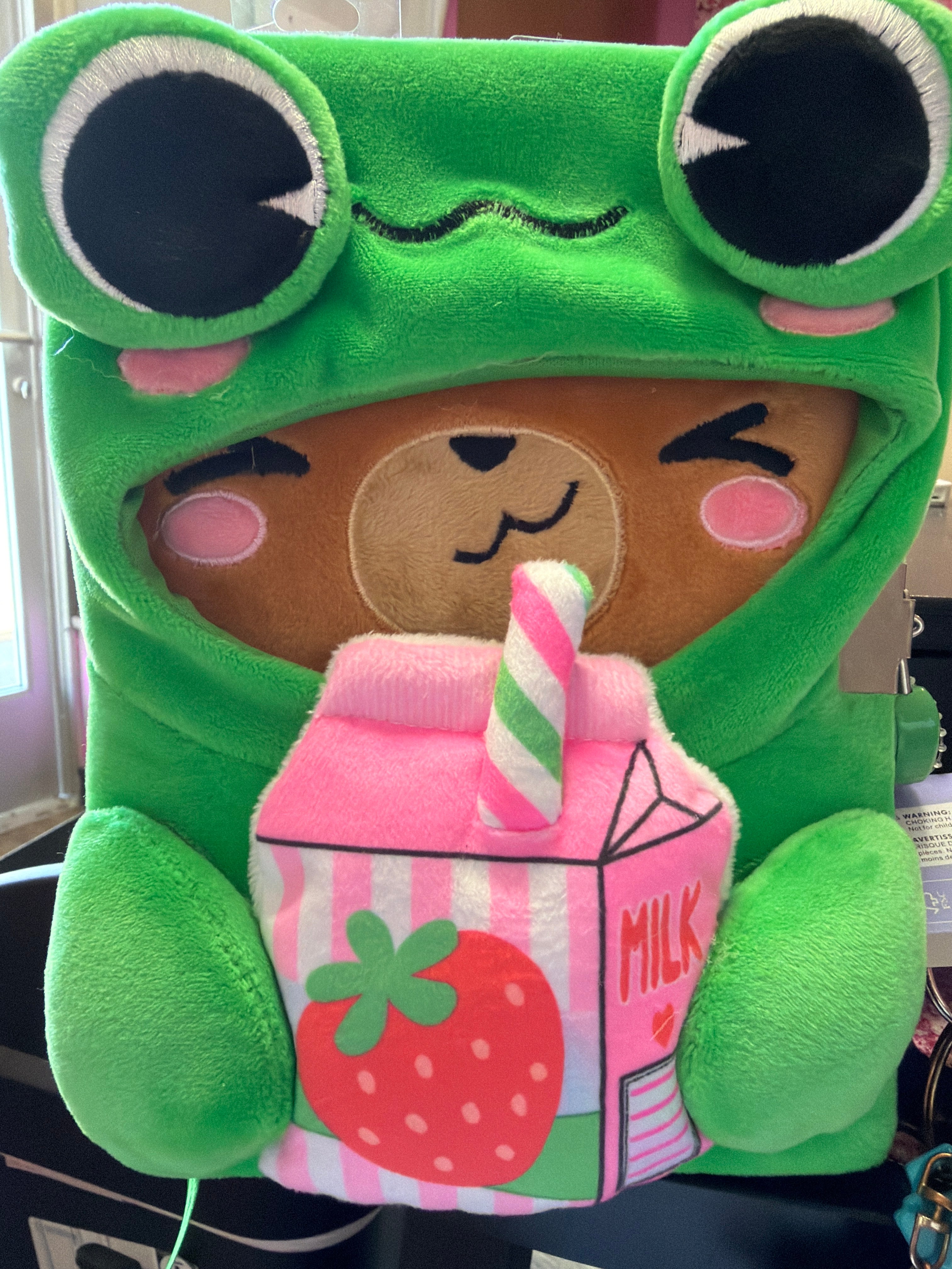 Claire’s diary frog suit